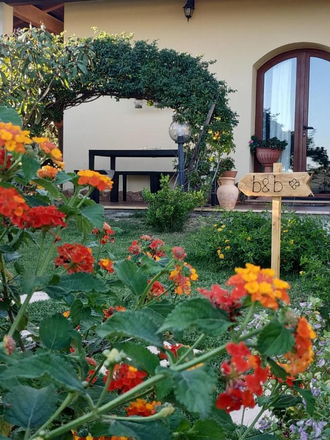 B&B Ottoulivi ซาร์ดารา ภายนอก รูปภาพ